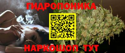 ГАЛЛЮЦИНОГЕННЫЕ ГРИБЫ Апшеронск