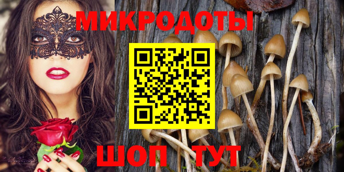 Галлюциногенные грибы Psilocybe  Галлюциногенные грибы Psilocybine cubensis  купить закладку  Воскресенск  Вход с VPN 